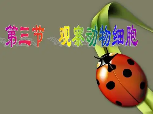 【ppt】观察动物细胞课件