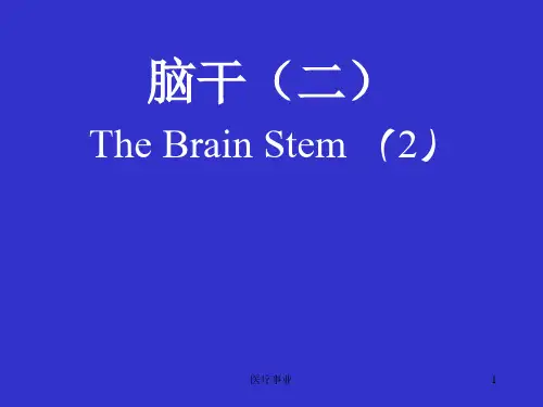 脑干网状结构(医术材料)