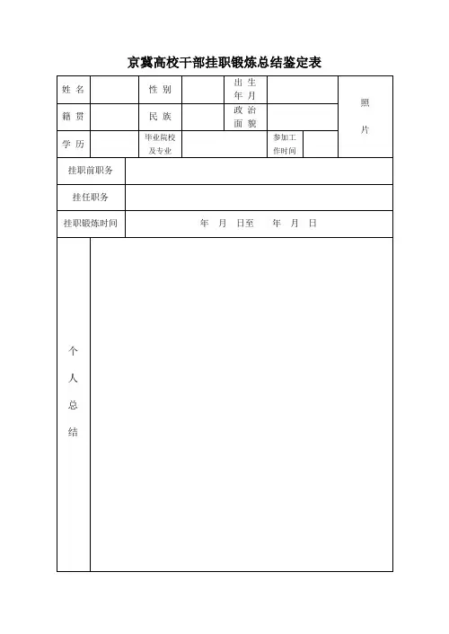 京冀高校干部挂职锻炼总结鉴定表