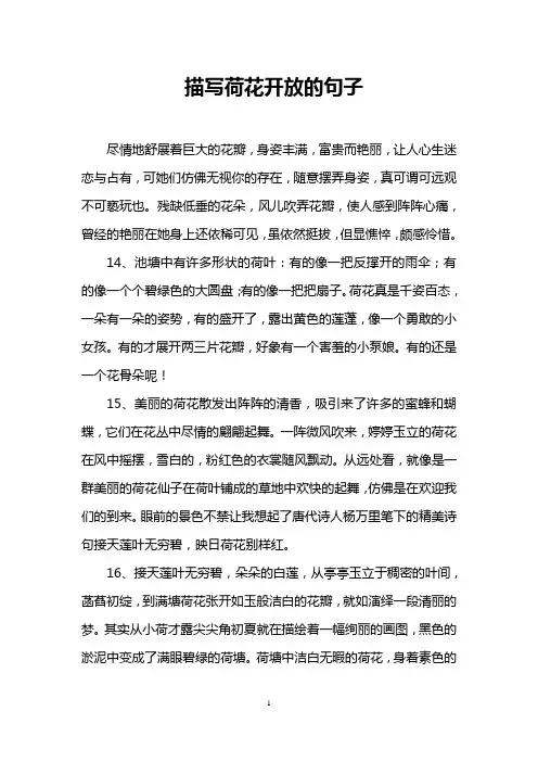 描写荷花开放的句子