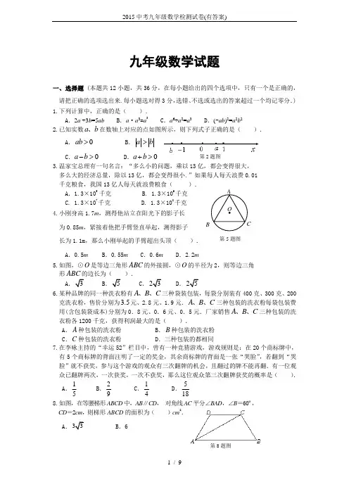 2015中考九年级数学检测试卷(有答案)