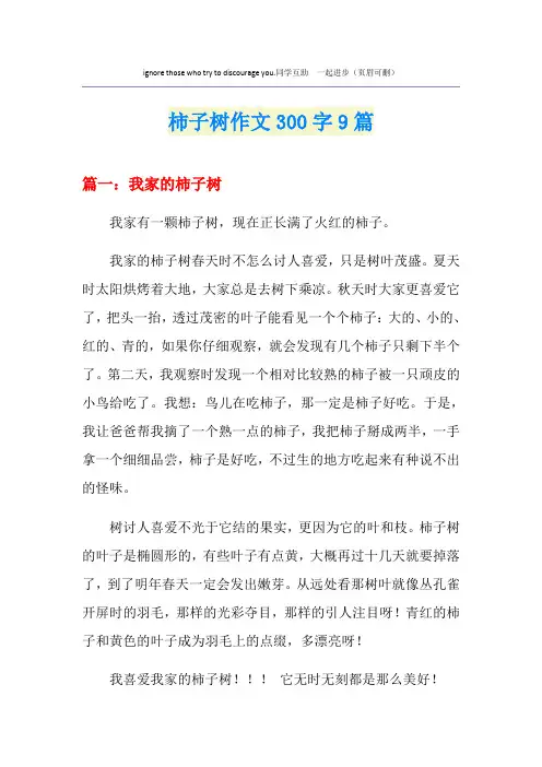 柿子树作文300字9篇