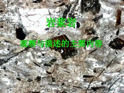 岩浆岩实验一、岩矿鉴定实验课件