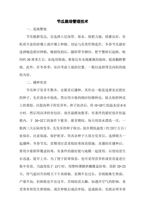 节瓜栽培管理技术