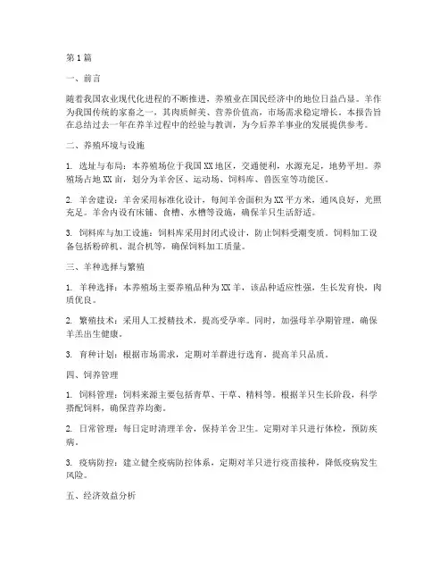 养羊总结报告范文(3篇)