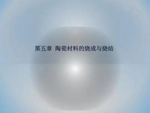 第五章烧结-1资料