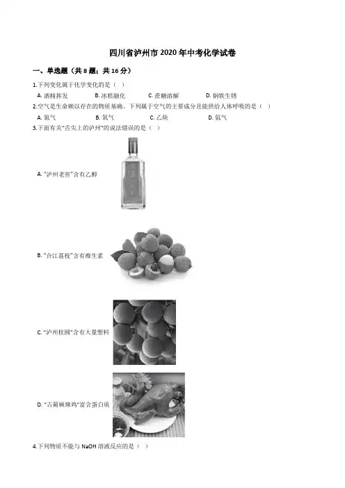 四川省泸州市2020年中考化学试题真题(Word版+答案+解析版)