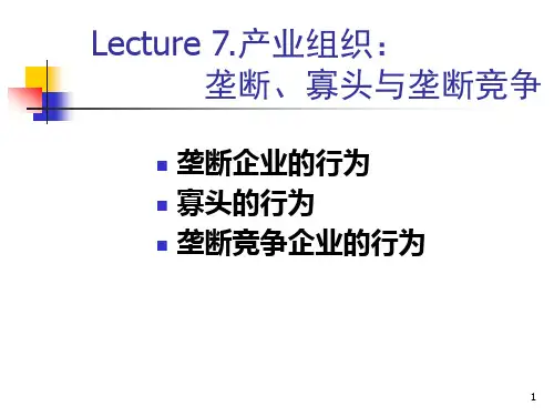 产业组垄断寡头与垄断竞争讲解