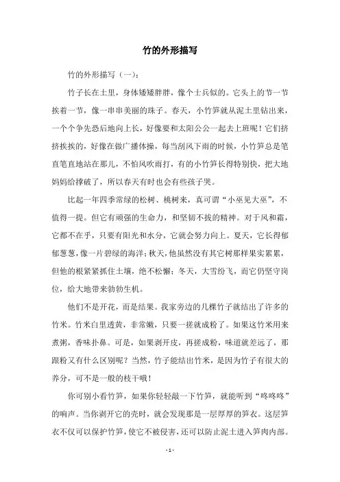 竹的外形描写