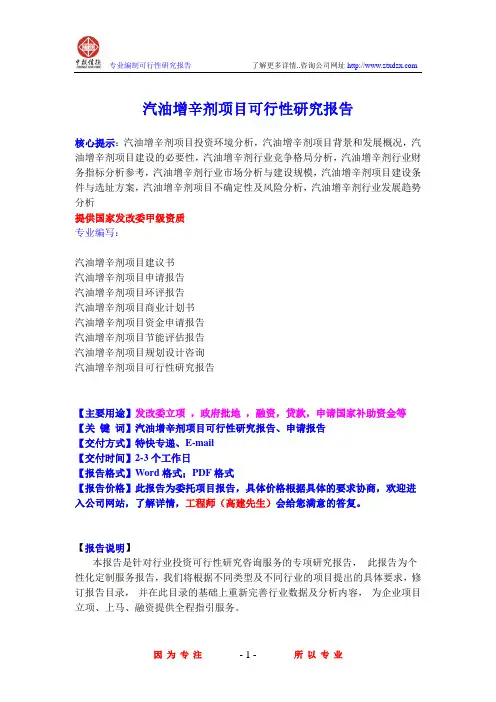汽油增辛剂项目可行性研究报告