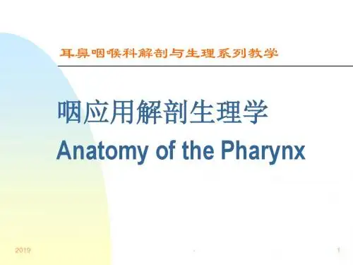 咽喉解剖生理ppt课件