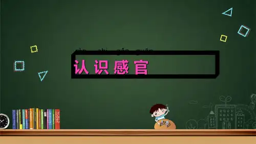 一年级上册科学课件第4课《认识感官》｜苏教版(共16张PPT)
