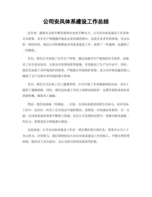 公司安风体系建设工作总结