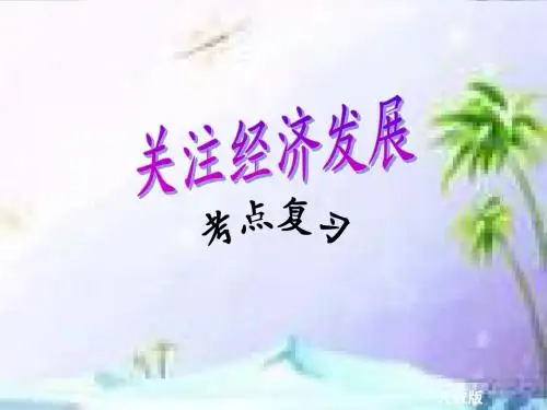 《关注经济发展》复习课件