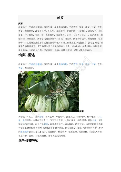 油菜