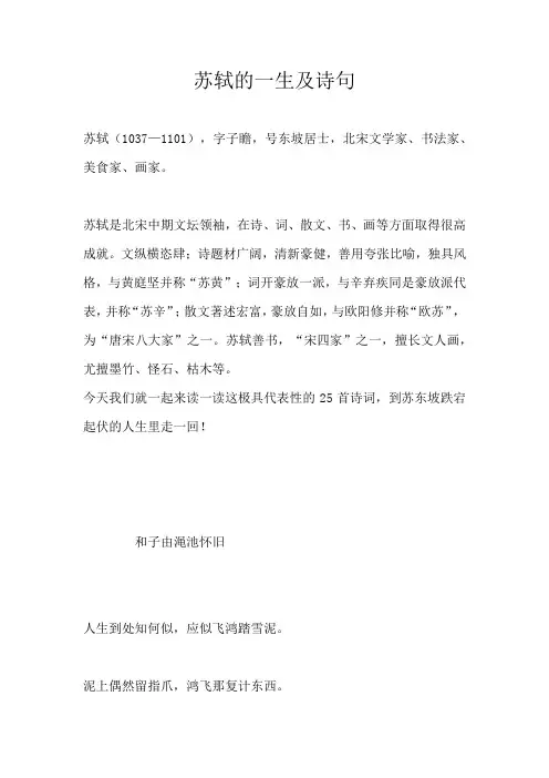 苏轼的一生及诗句
