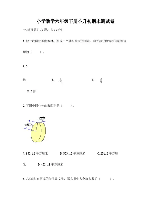 小学数学六年级下册小升初期末测试卷及参考答案(模拟题)