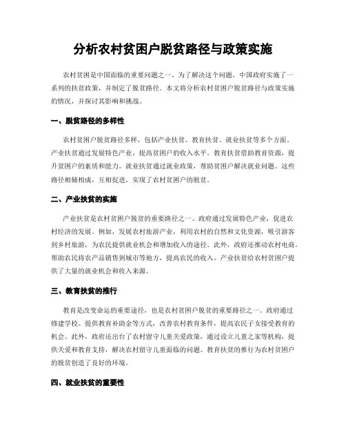 分析农村贫困户脱贫路径与政策实施