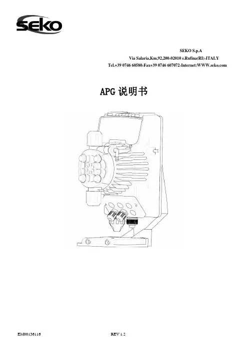 APG系列说明书,计量泵