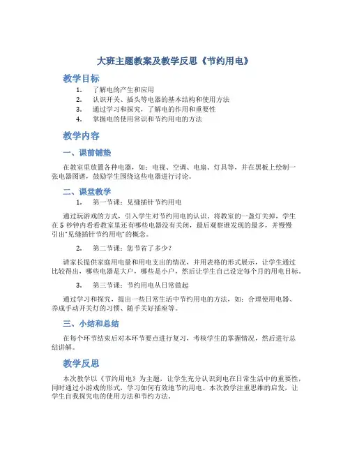 大班主题教案及教学反思《节约用电》