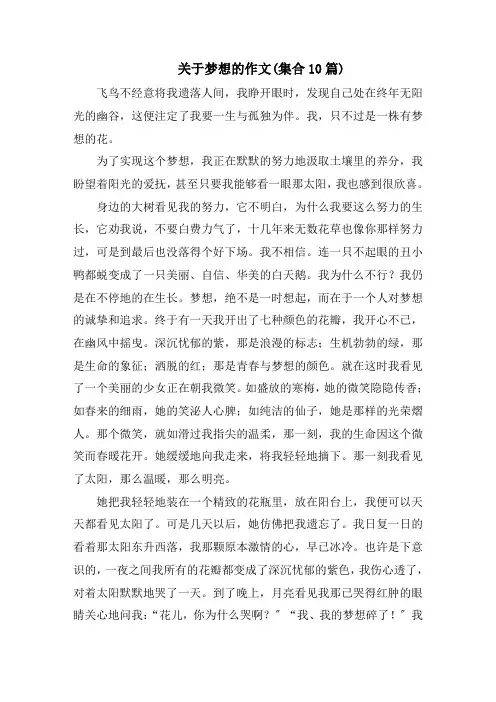 关于梦想的作文(集合10篇)范文精选