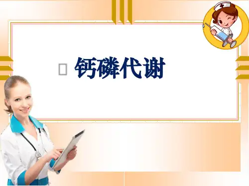 钙磷代谢ppt课件
