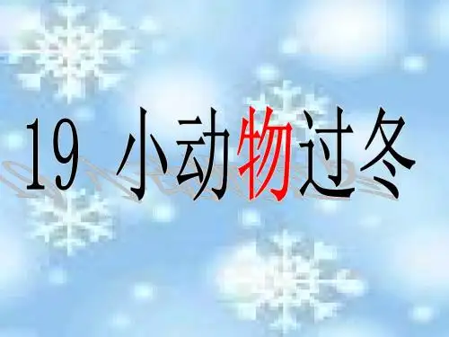 19小动物过冬