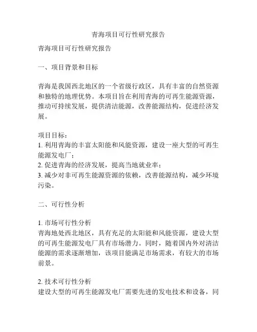 青海项目可行性研究报告