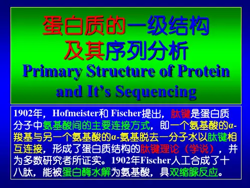蛋白质化学课件  第2章-一级结构及分析