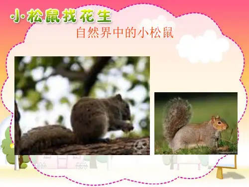 人教版小学一年级语文上《小松鼠找花生》课件