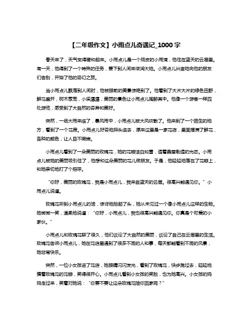 【二年级作文】小雨点儿奇遇记_1000字