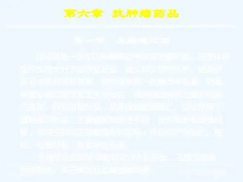 六抗肿瘤药物专家讲座