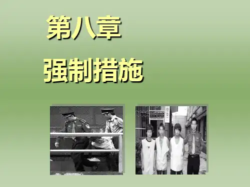 刑事诉讼法课件之 强制措施