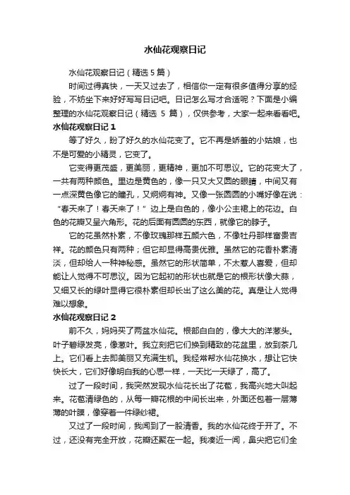 水仙花观察日记（精选5篇）