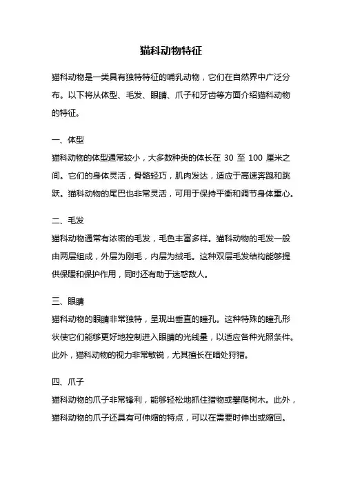 猫科动物特征