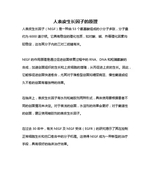 人表皮生长因子的原理