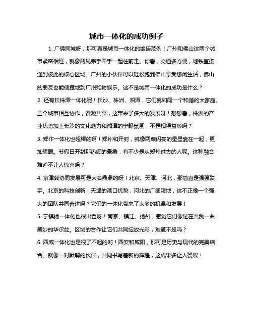 城市一体化的成功例子