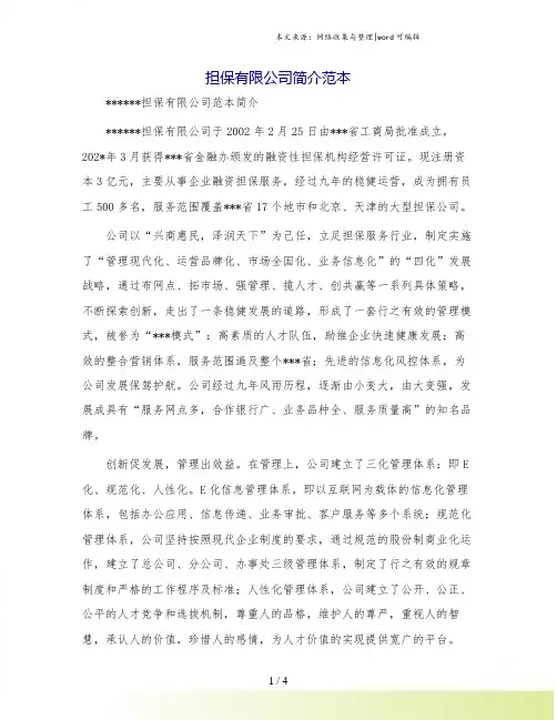 担保有限公司简介范本