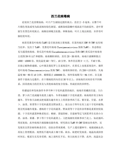 西兰花病毒病