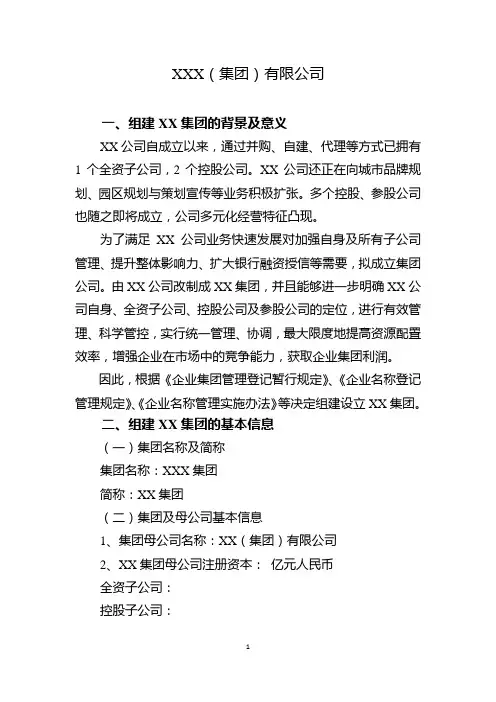 集团公司设立方案