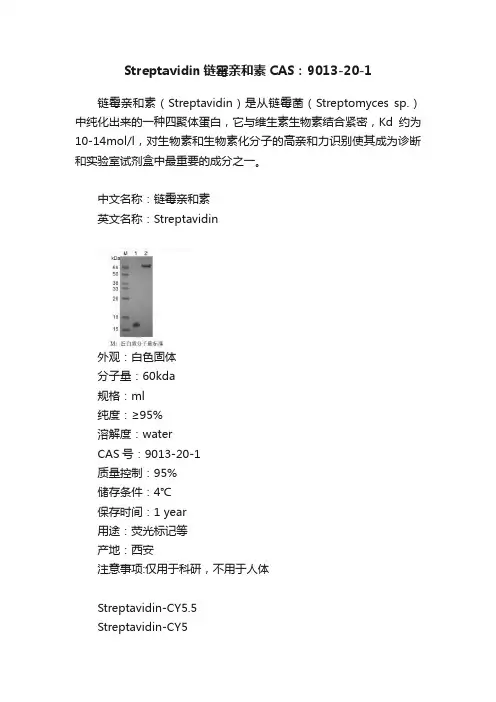 Streptavidin链霉亲和素CAS：9013-20-1