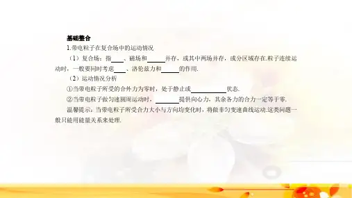 高三物理一轮复习带电粒子在复合场中的运动精品PPT课件