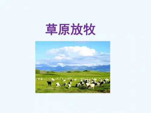《草原放牧》课件
