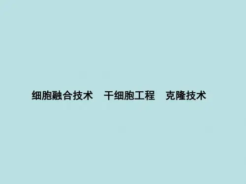 细胞融合技术、干细胞工程、克隆技术 PPT课件 人教课标版