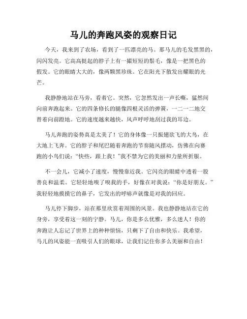小学三年级作文马儿的奔跑风姿的观察日记