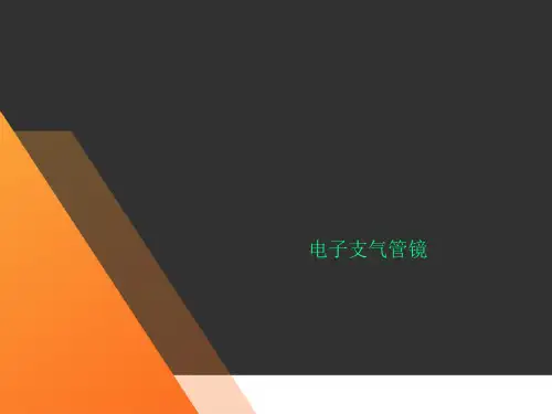 电子支气管镜