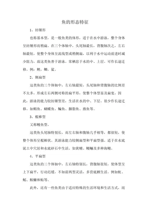鱼的形态特征