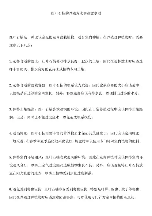 红叶石楠的养殖方法和注意事项