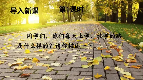 部编版三年级语文上册第二单元第5课《铺满金色巴掌的水泥道》教学课件