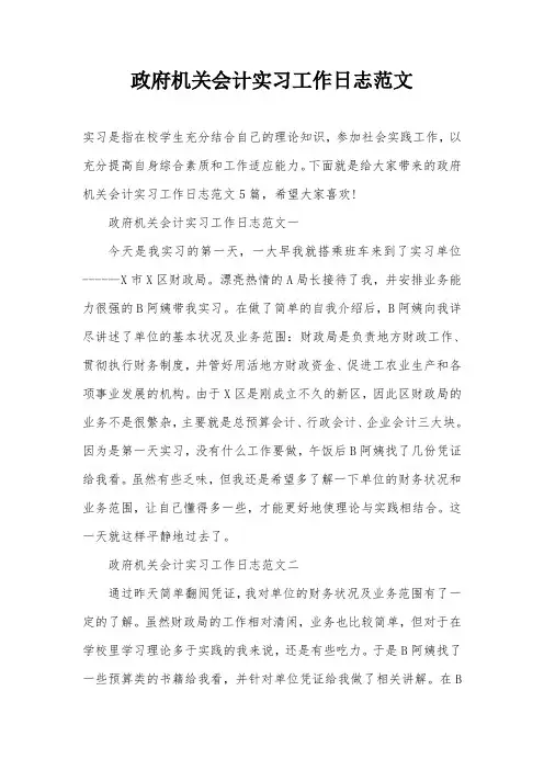 政府机关会计实习工作日志范文